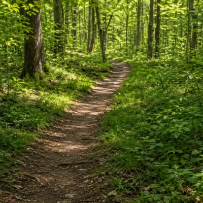Pourquoi vos mauvaises habitudes ne disparaissent pas (et comment y remédier)
