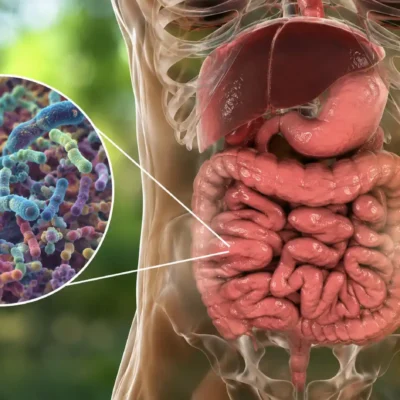 Votre corps est-il vraiment humain ? Le poids surprenant de vos bactéries