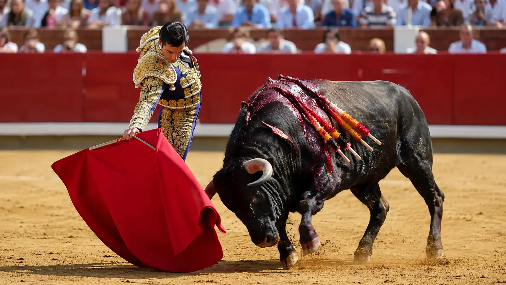 Le rouge énerve-t-il vraiment les taureaux ?