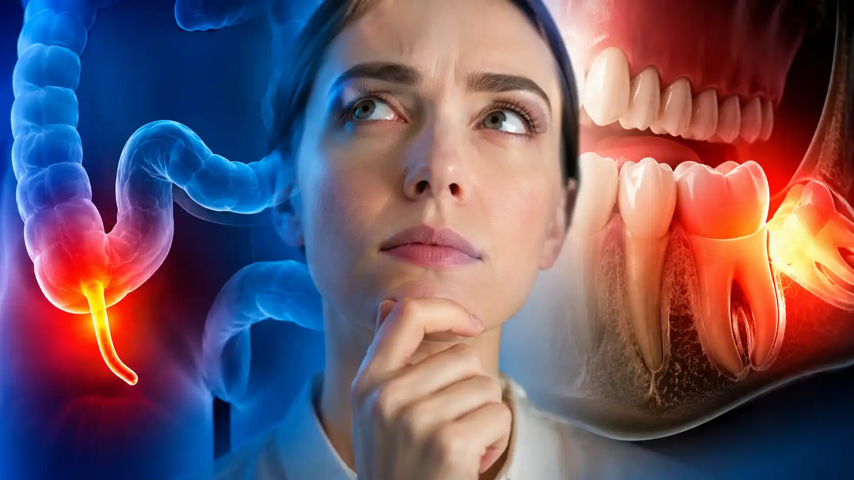 L'appendice et les dents de sagesse : des organes vraiment inutiles ? On fait le point